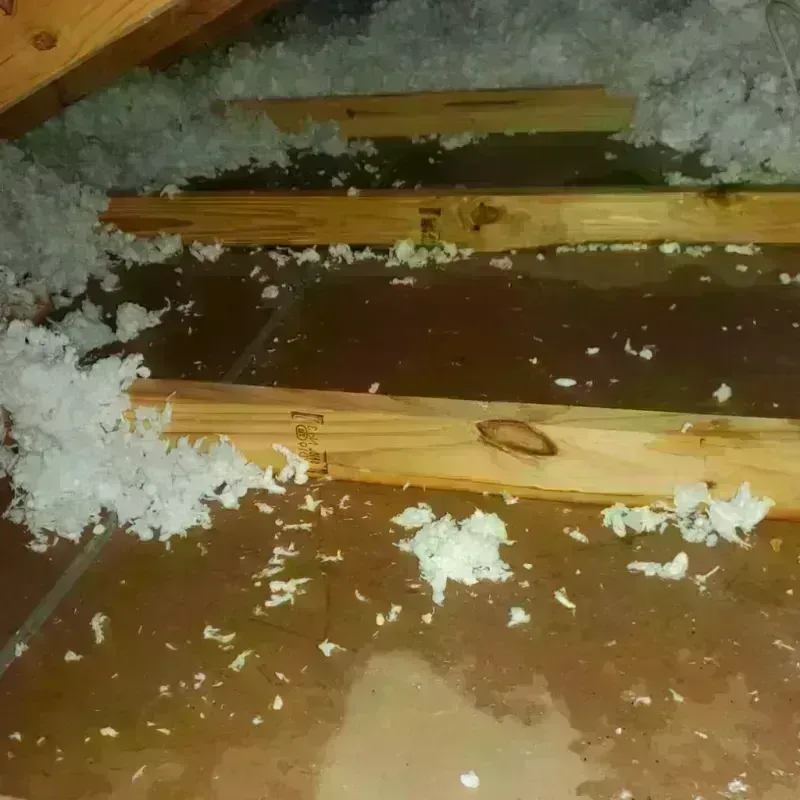 Attic Water Damage in Travelers Rest, SC