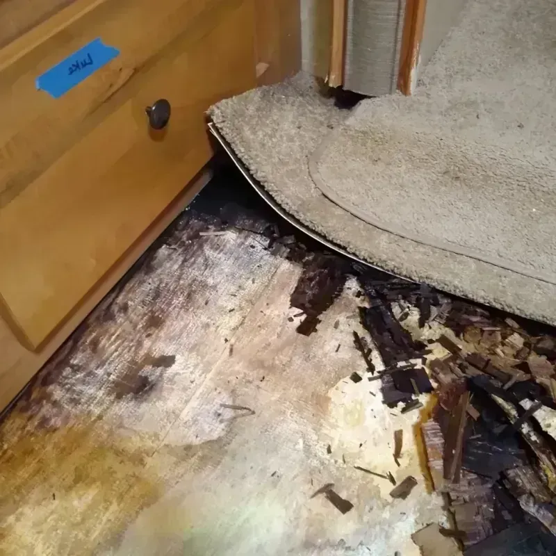 Wood Floor Water Damage in Travelers Rest, SC